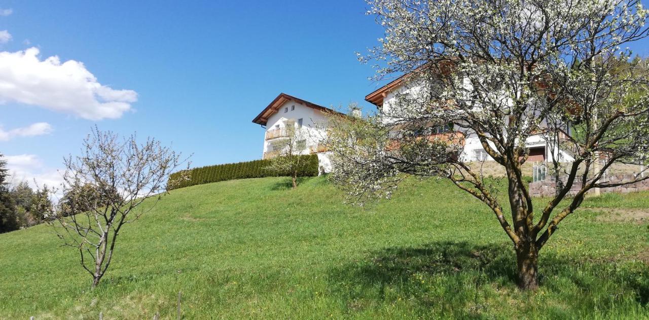 Farm stay Gschloier (adults Only)