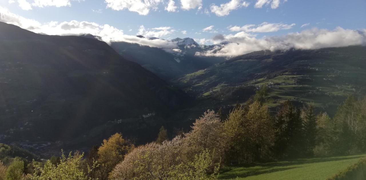 Gschloier (adults Only) Farm stay