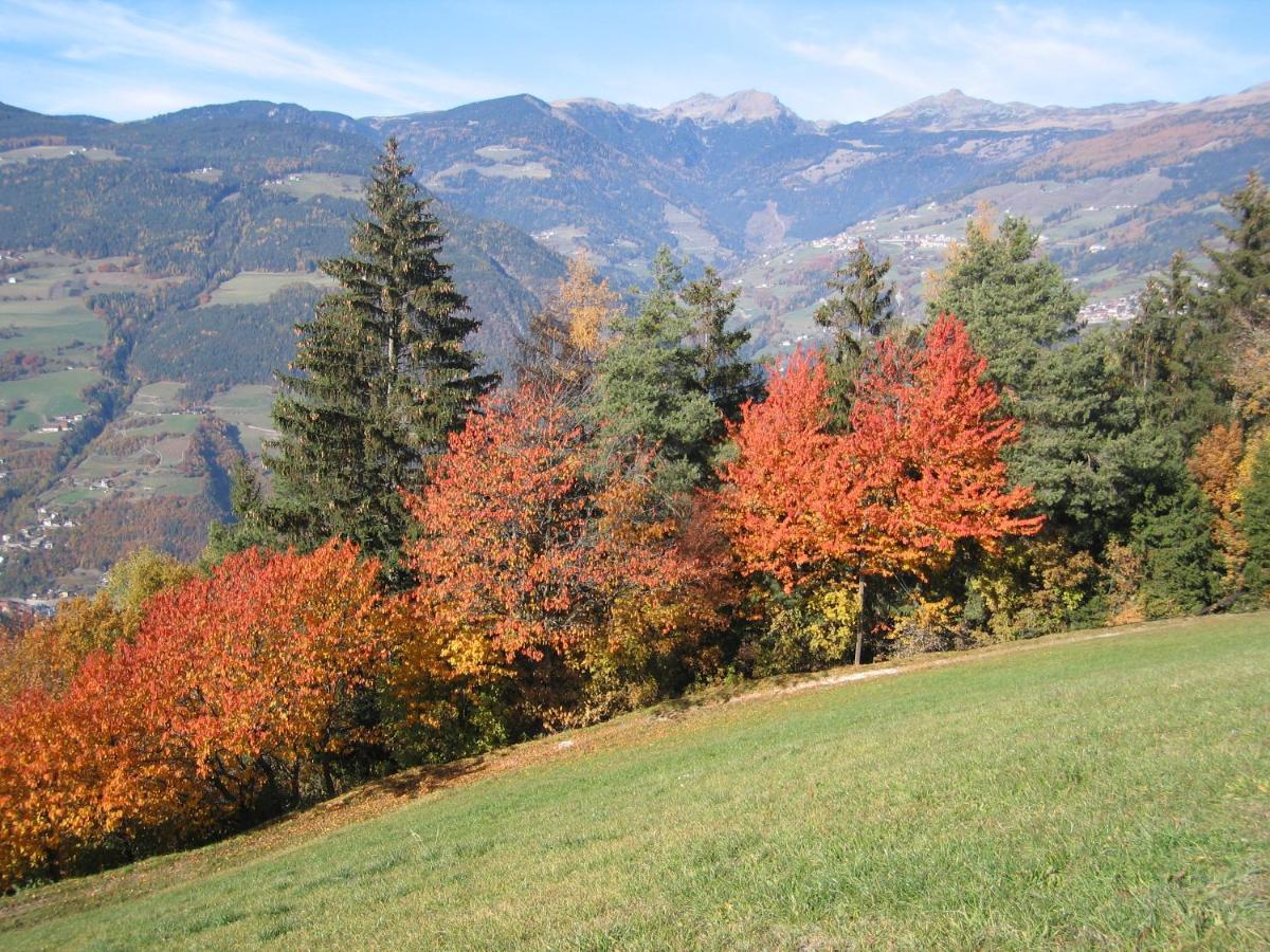 Gschloier (adults Only) Farm stay